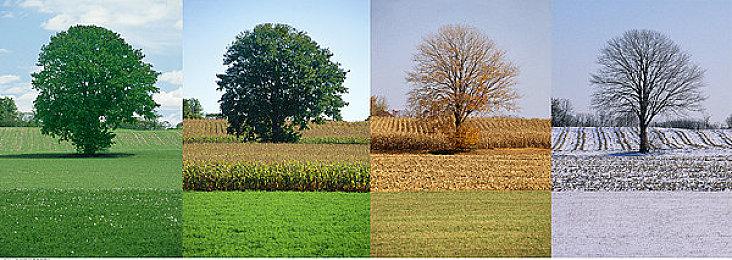 《地球防卫军6》第四弹预告 年内登陆PS4＆PS5