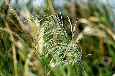 《马力欧激战前锋》推出试玩版 支持本地8人游戏