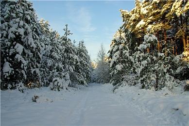 吉田直树：《最终幻想7》重制版第三部的蒂法将更强大
