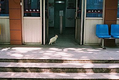 《小小梦魇》系列原开发商呼吁 新作已换开发商别喷错