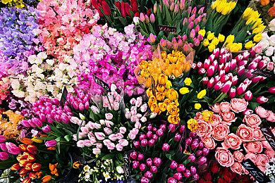 Fami通新一周销量榜 《名侦探皮卡丘》登顶